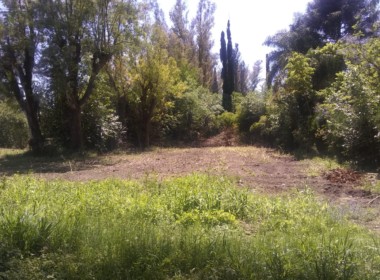 WhatsApp Image 2019-11-08 at 12.57.21 PM