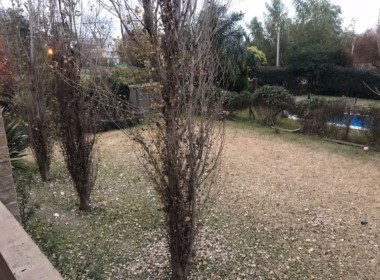 WhatsApp Image 2018-07-30 at 15.51.07 (1)