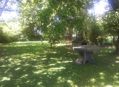 WhatsApp Image 2019-11-08 at 12.56.04 PM