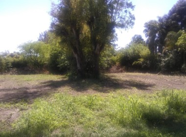 WhatsApp Image 2019-11-08 at 12.57.19 PM