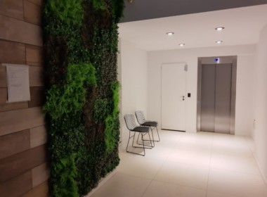 WhatsApp Image 2020-07-01 at 2.43.47 PM